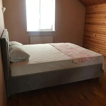 Villa Casa Centru *